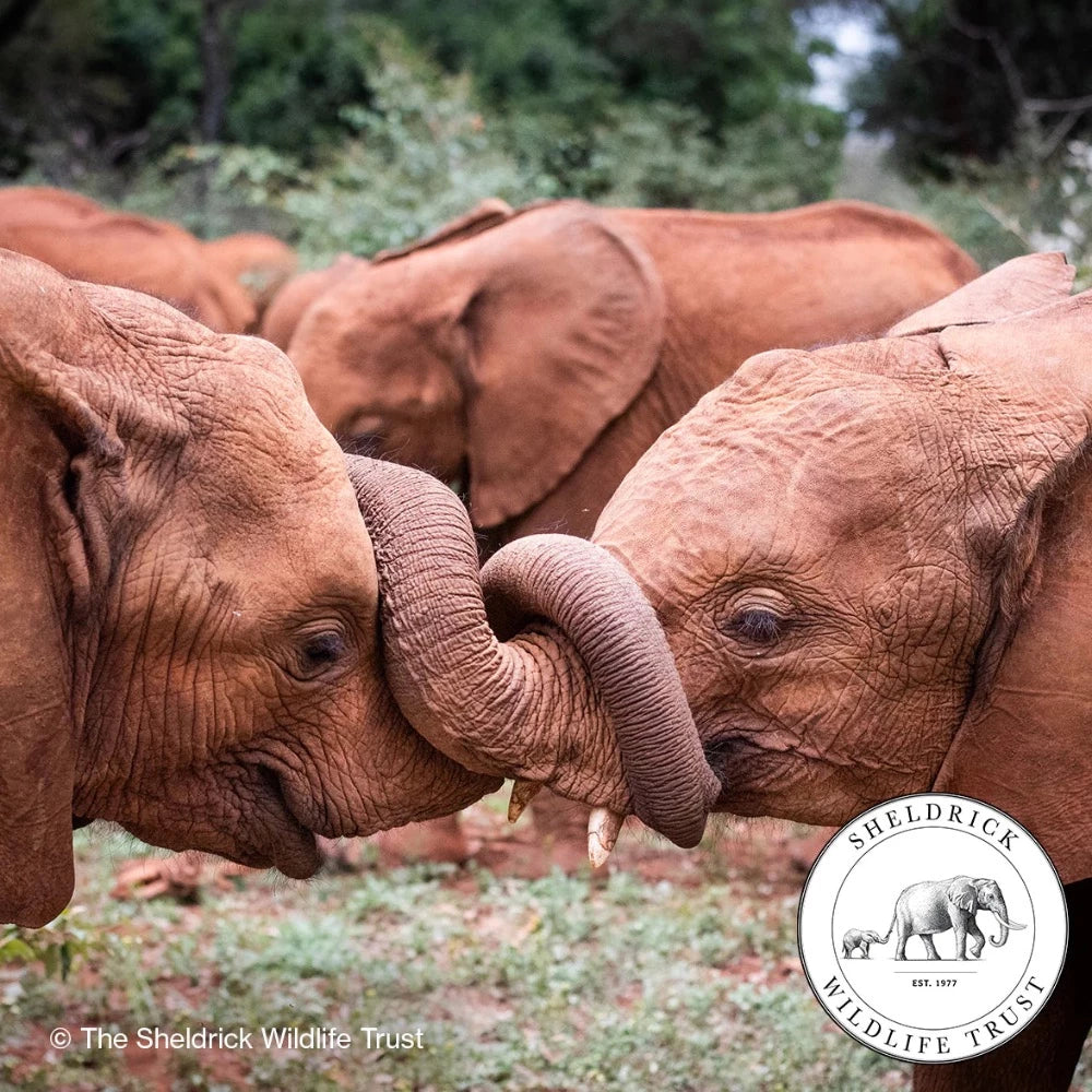 Baby Elephant Conservation Velvet Pouch